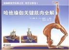 哈他瑜伽关键肌肉全解