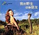 我的野生动物朋友