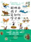 聪明的孩子是如何学习的