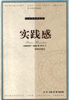 实践感