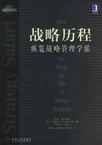 战略历程