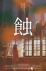 蚀之章台秋柳