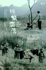 枝繁叶茂