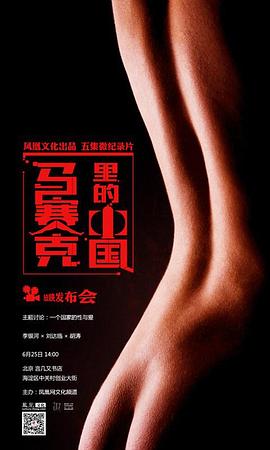 马赛克里的中国