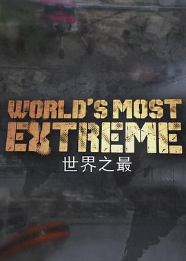 极限交通工程大搜索