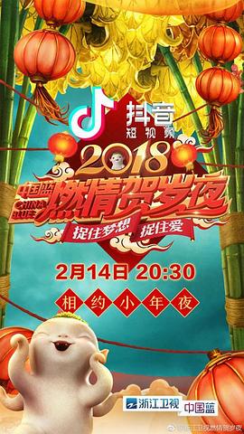 浙江卫视2018中国蓝燃情贺岁夜