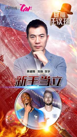 健翔任议球