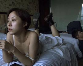 公车上的白色蝴蝶