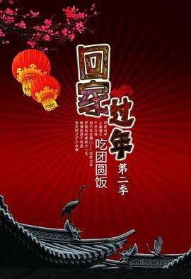 回家过年 第二季