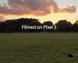 用谷歌Pixel3拍摄