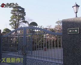 奇怪律师2