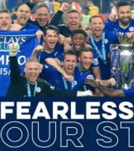 Fearless Foxes: Our Story