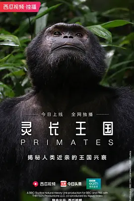 灵长王国