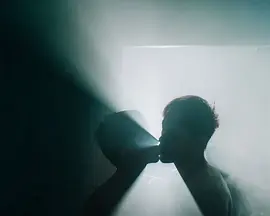 雾中