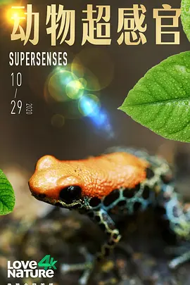 动物超感官