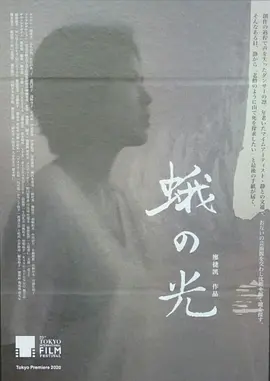蛾之光