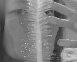 記憶中混濁的霧是我的畫像