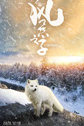 风暴之子