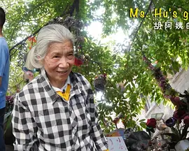 胡阿姨的花园