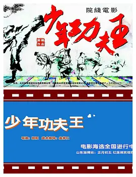 少年功夫王