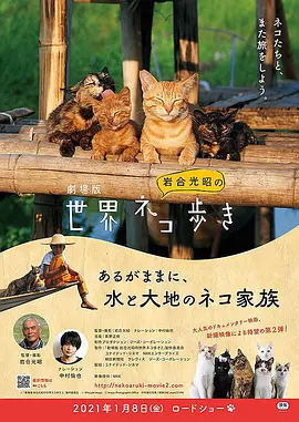 剧场版 岩合光昭的猫步走世界 第2弹