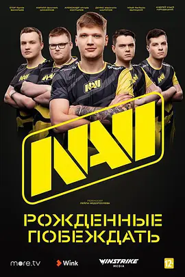 NAVI——为胜利而生