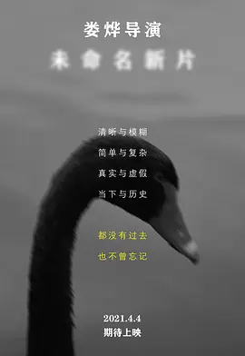 娄烨导演未命名新片