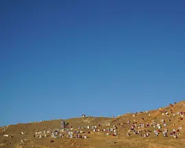绛红森林