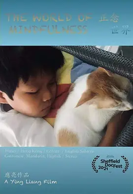 正念世界
