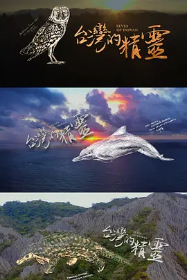 地球的孤儿：台湾的精灵