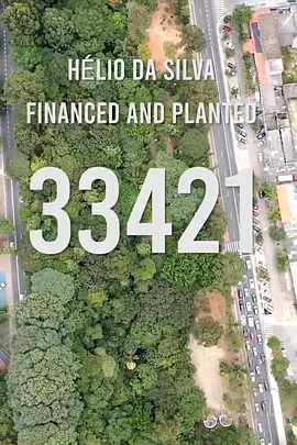 33421