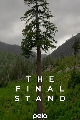 The Final Stand