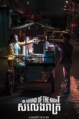 夜之声