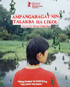窗外的雨蛙