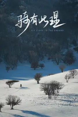 骑有此理