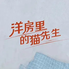 洋房里的猫先生