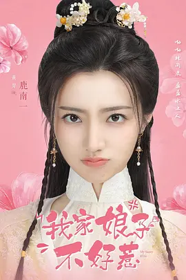 我家娘子不好惹
