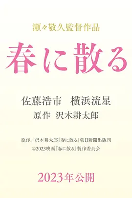 凋零在春天