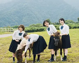 17歳は止まらない