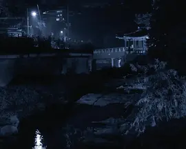 Night Walk