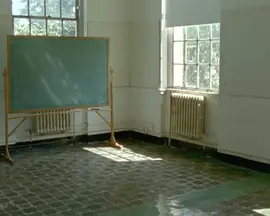 Growing Up Absurd