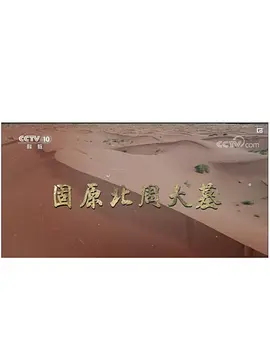 固原北周大墓