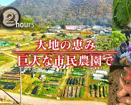 ドキュメント72時間：大地の恵み 巨大な市民農園で