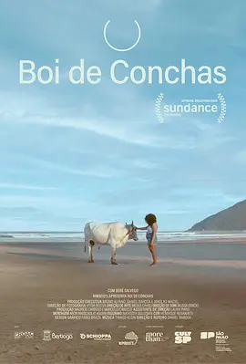 Boi de Conchas