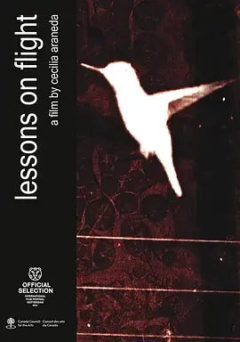Lessons on Flight
