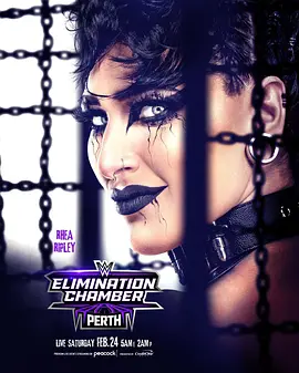 WWE：铁笼密室 2024