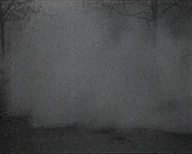 WHAT FOG?
