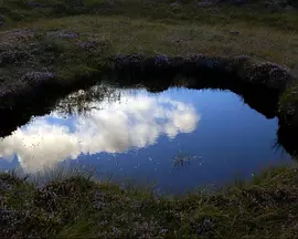 通感