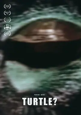 TURTLE?