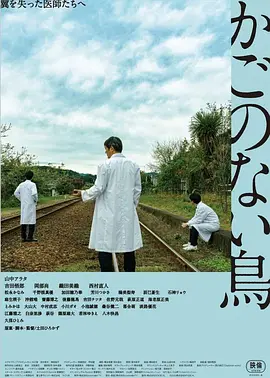没有笼子的鸟